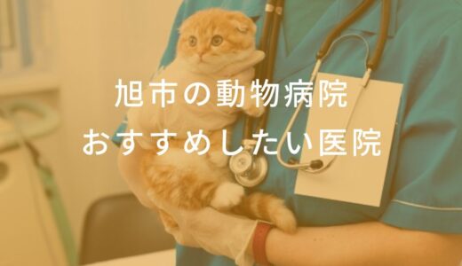 【2025年】旭市の動物病院 おすすめしたい3医院