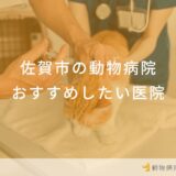 佐賀市の動物病院おすすめしたい医院