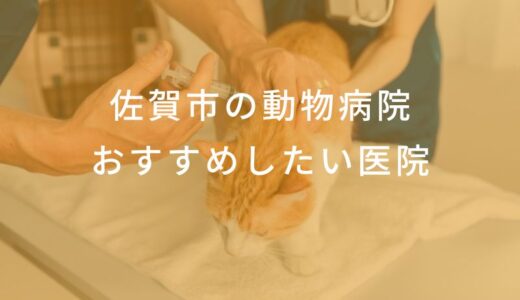 【2025年】佐賀市の動物病院 おすすめしたい4医院