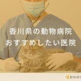 香川県 動物病院