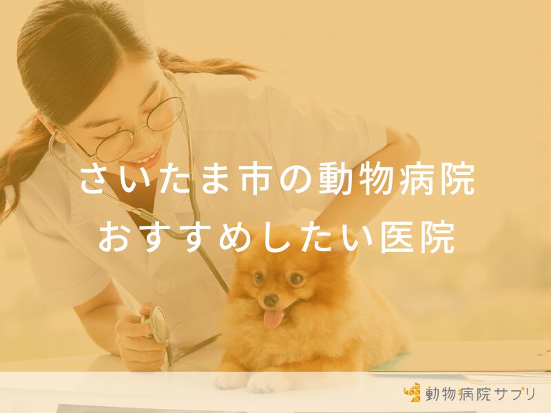 さいたま市の動物病院 おすすめしたい医院
