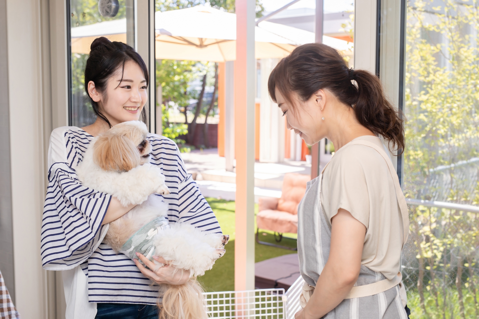 愛犬と遊ぶ女性