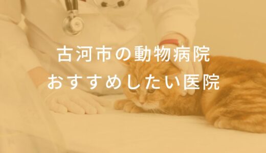 【2025年】古河市の動物病院 おすすめしたい6医院