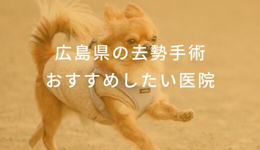 【2025年】広島県の去勢手術 おすすめしたい6医院