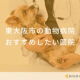 【2025年】東大阪市の動物病院 おすすめしたい5医院