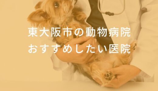 【2025年】東大阪市の動物病院 おすすめしたい5医院