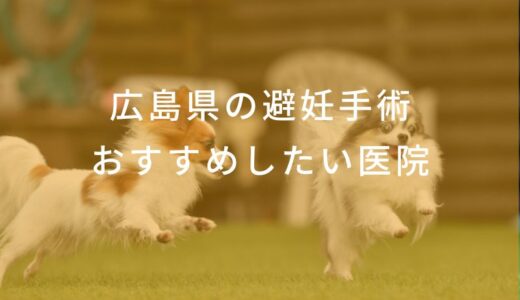 【2025年】広島県の避妊手術 おすすめしたい6医院