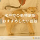 水戸市の動物病院おすすめしたい医院