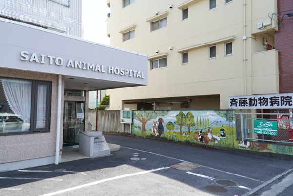 斉藤動物病院photo