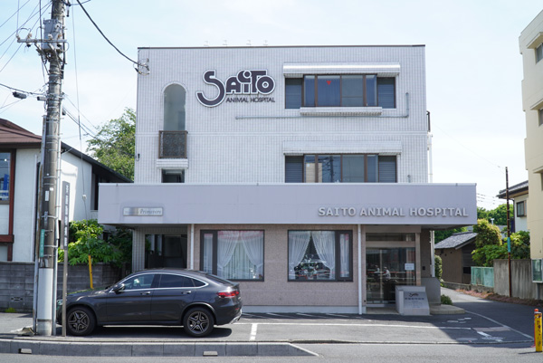 斉藤動物病院photo