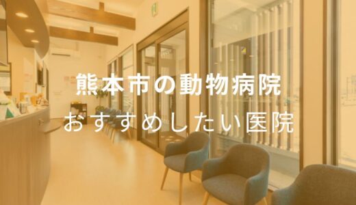 【2025年】熊本市の動物病院 おすすめしたい5医院