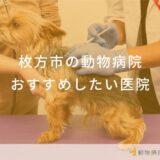 【2025年】枚方市の動物病院 おすすめしたい6医院