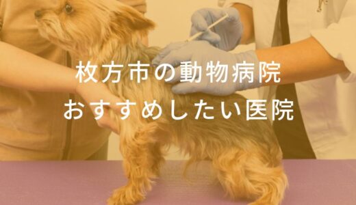 【2025年】枚方市の動物病院 おすすめしたい6医院