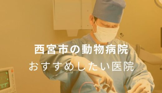 【2025年】西宮市の動物病院 おすすめしたい7医院