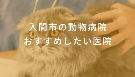 【2025年】入間市の動物病院  おすすめしたい6医院