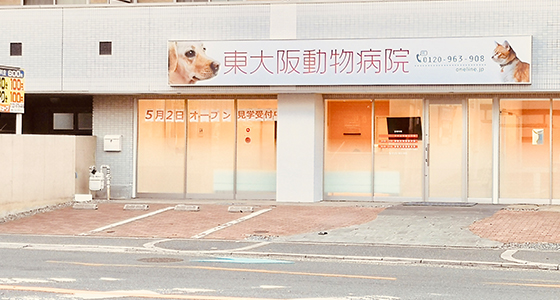 東大阪動物病院