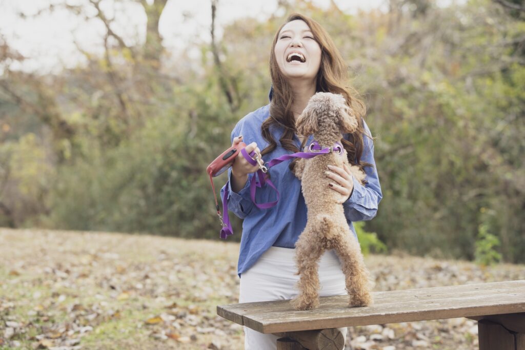 犬の飛びつきの原因