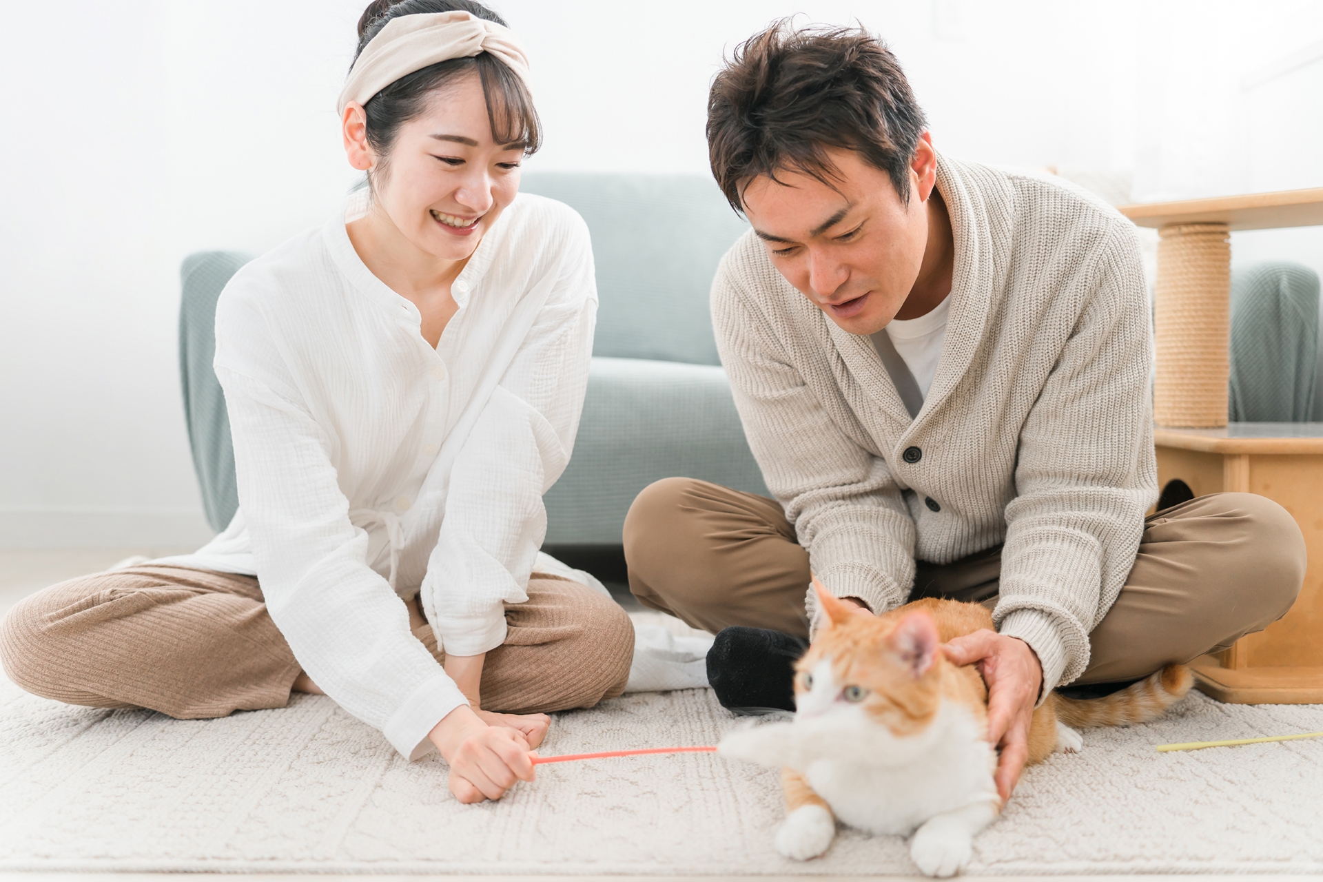 猫じゃらしでペットの猫と遊ぶ飼い主の夫婦