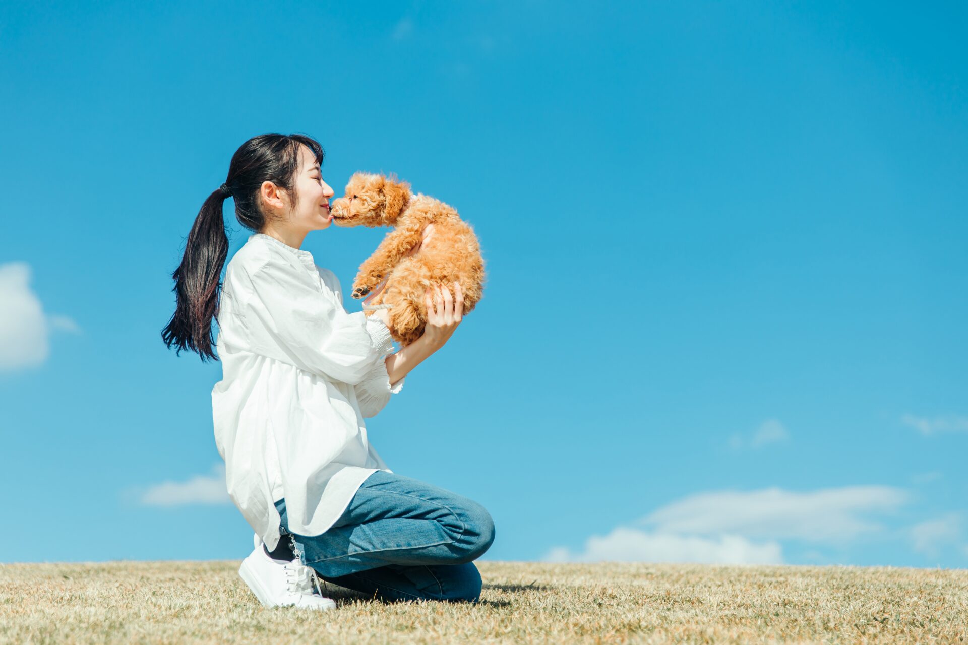 飼い主と犬