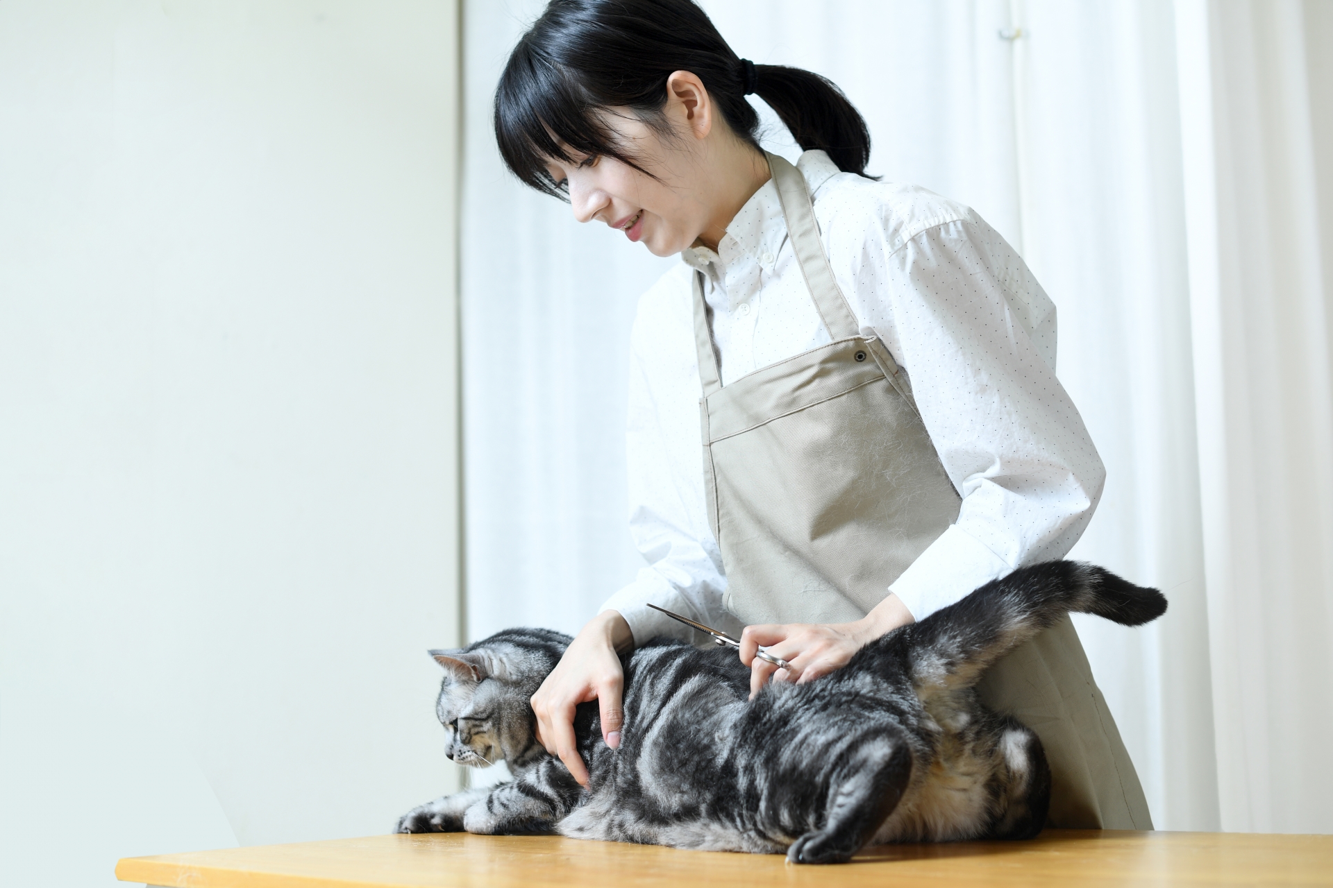 猫と女性