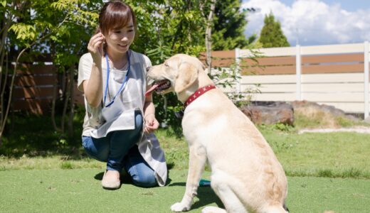 ペットしつけ教室で学べる散歩のマナーとは？散歩のしつけの重要性やしつけ教室利用時の注意点を紹介します