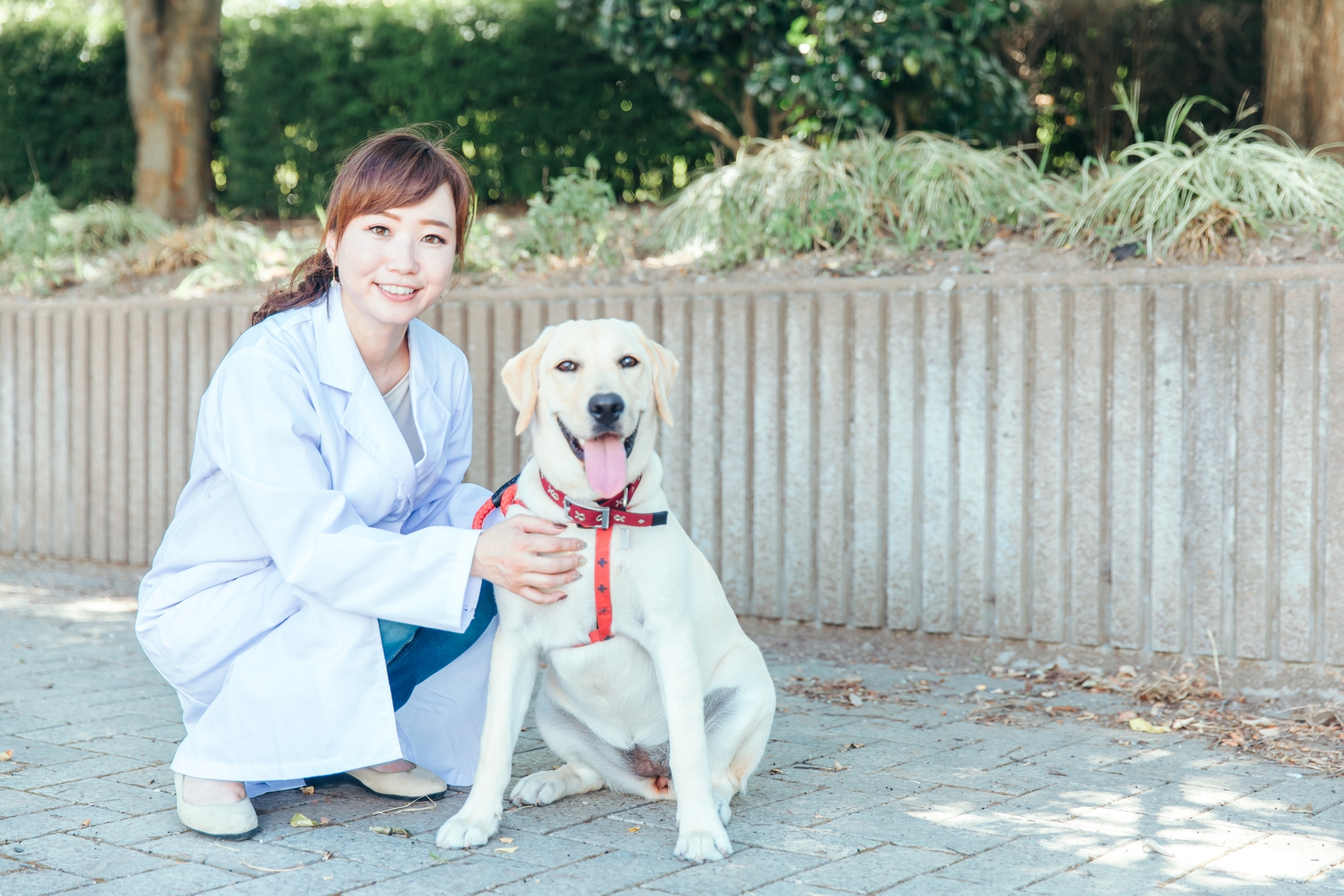 獣医と犬