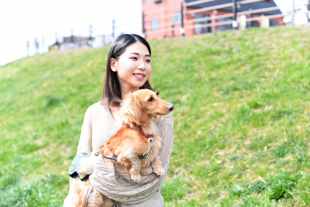 成犬がペット教室で受けられるしつけ