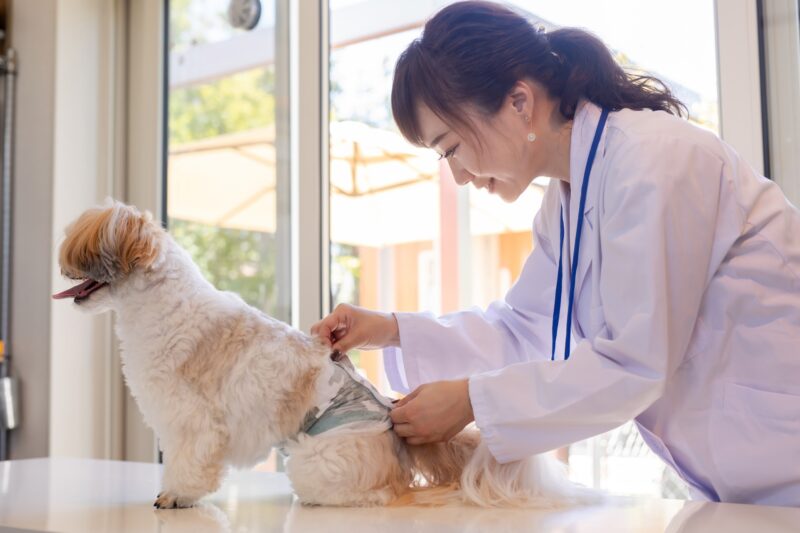 〈獣医学〉  犬と猫の泌尿器疾患 猫の診療指針 Part2 株式会社 緑書房