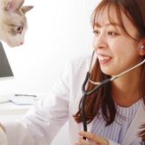 動物病院の皮膚科とは？診療する症状・受診目安・診療の流れなども解説