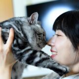 猫が石や砂を食べるのはなぜ？原因や危険性、応急処置を解説します