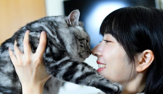 猫が石や砂を食べるのはなぜ？原因や危険性、応急処置を解説します