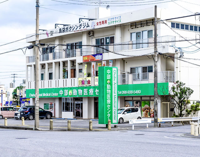 中部動物医療センター