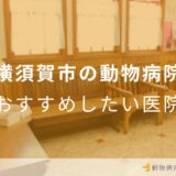 【2025年】横須賀市の動物病院 おすすめしたい5医院