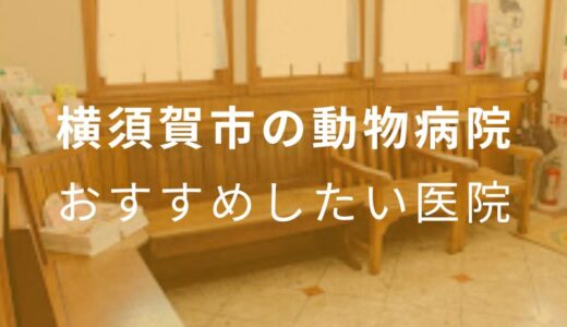 【2025年】横須賀市の動物病院 おすすめしたい5医院