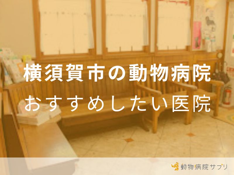 横須賀市の動物病院おすすめしたい医院