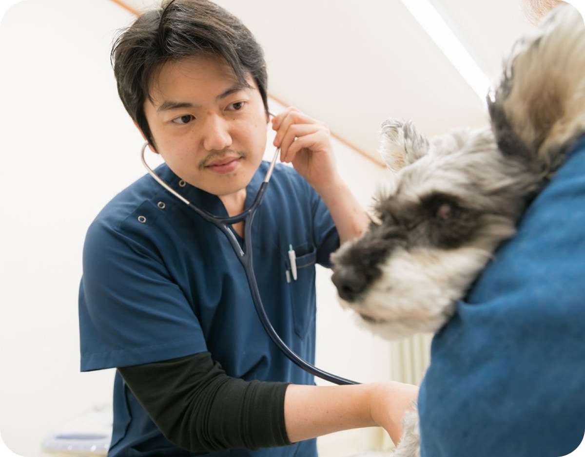 福井獣医科病院