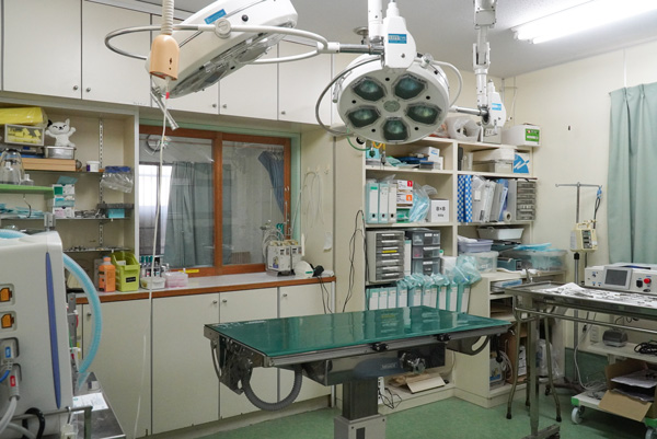 斉藤動物病院photo