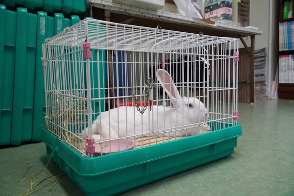 斉藤動物病院photo