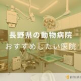 長野県の動物病院 おすすめしたい医院