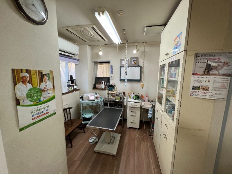 せじま動物病院