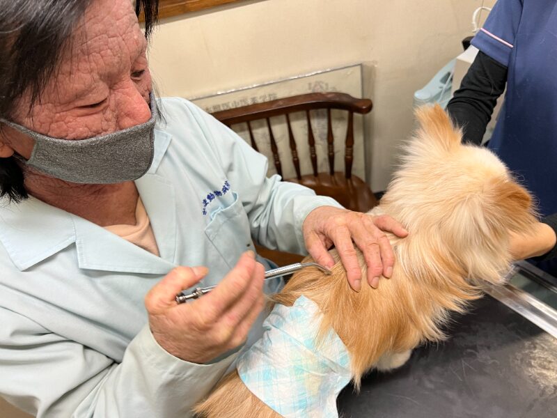せじま動物病院
