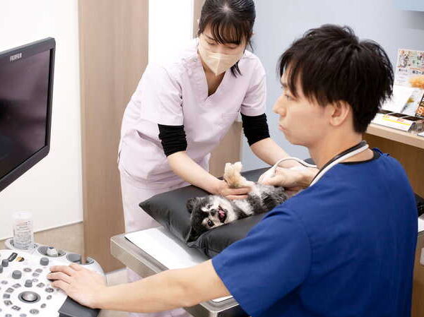 所沢さくら動物医療センター