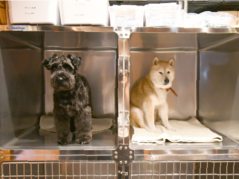 わかば犬猫病院 横浜西口駅前