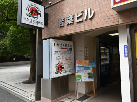 わかば犬猫病院 横浜西口駅前