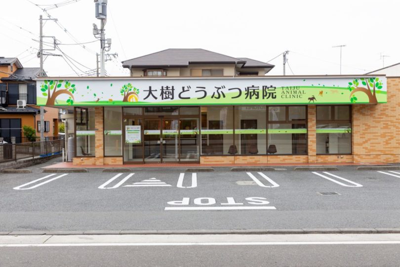 大樹どうぶつ動物病院