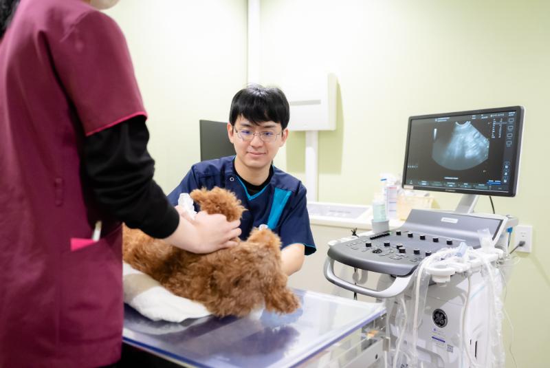 学園前どうぶつ病院
