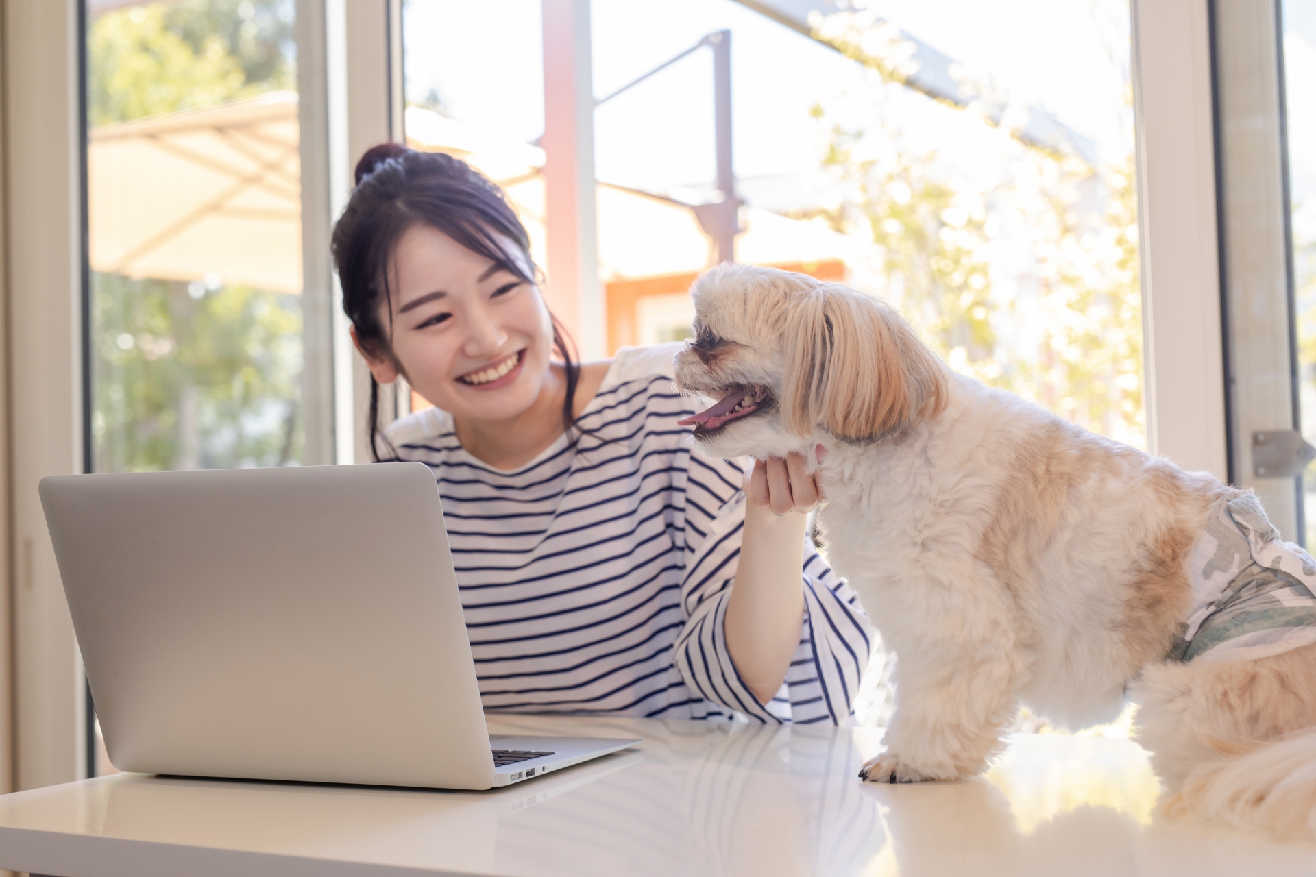 犬と一緒にノートパソコンを使う女性