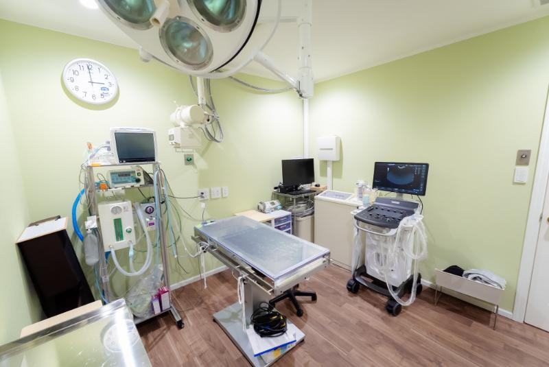 学園前どうぶつ病院