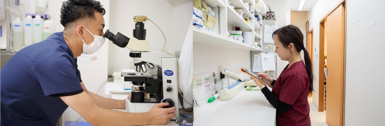 名古屋みなとテイルズ犬猫病院photo