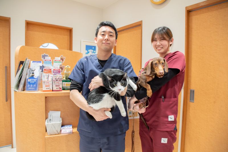 名古屋みなとテイルズ犬猫病院photo